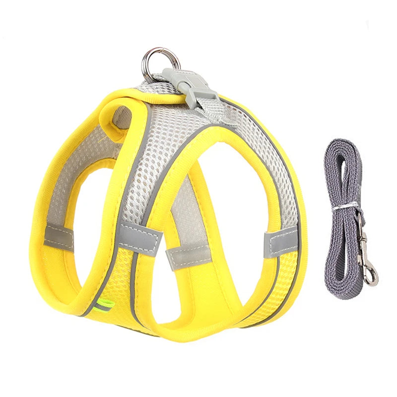 Comfy Control Harness & Leash Set: Perfect for Small Dogs & Puppies