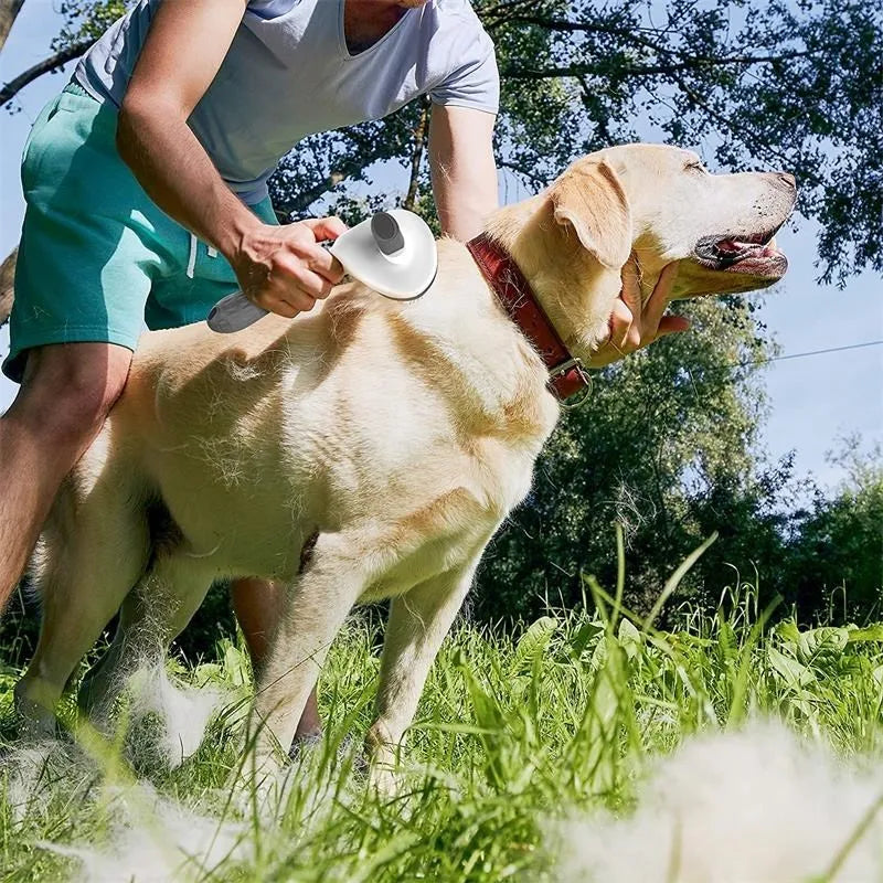 Self-Cleaning Pet Brush | Removes Shedding Hair for Dogs & Cats