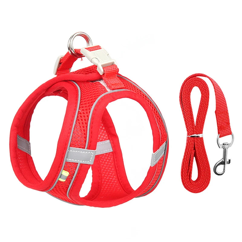 Comfy Control Harness & Leash Set: Perfect for Small Dogs & Puppies