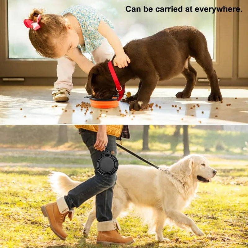 Portable Pet Bowl: Collapsible & Convenient for On-the-Go Feeding