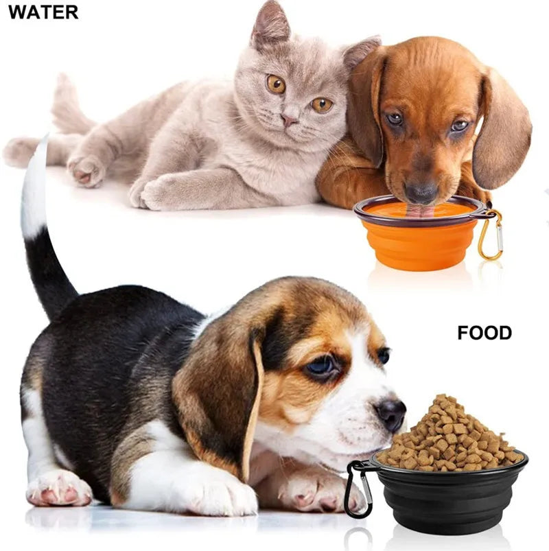 Portable Pet Bowl: Collapsible & Convenient for On-the-Go Feeding