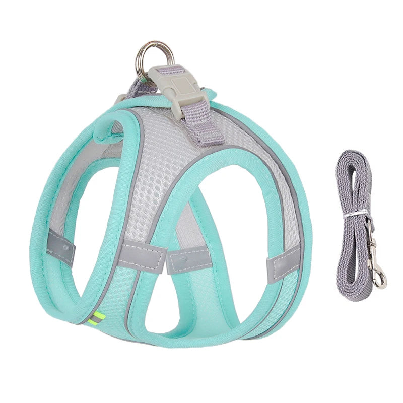 Comfy Control Harness & Leash Set: Perfect for Small Dogs & Puppies