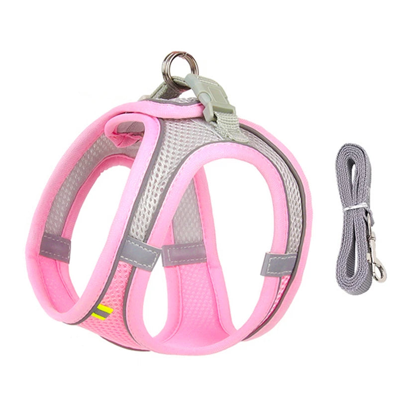 Comfy Control Harness & Leash Set: Perfect for Small Dogs & Puppies