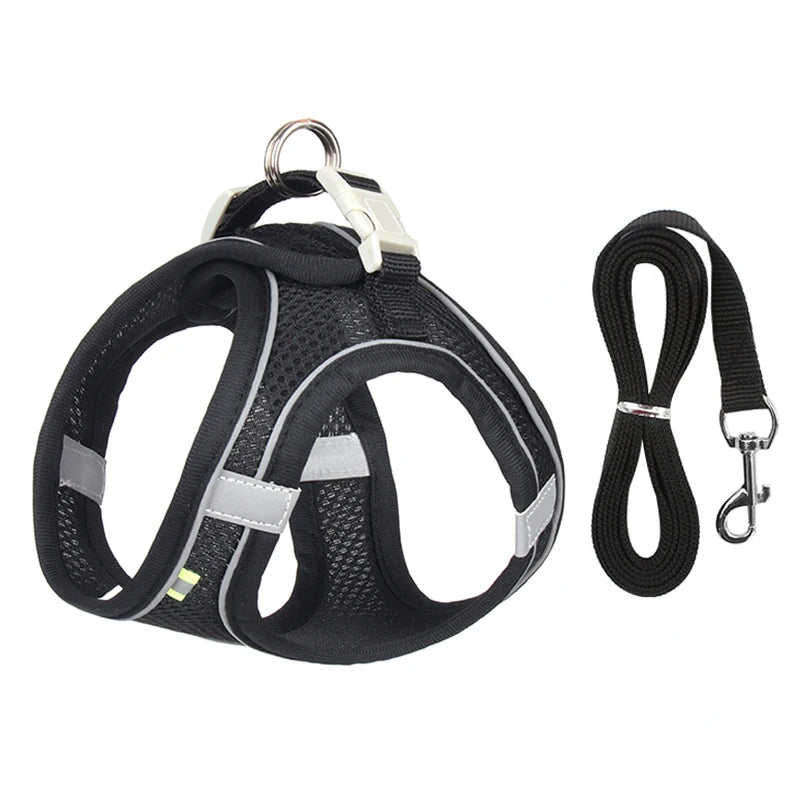 Comfy Control Harness & Leash Set: Perfect for Small Dogs & Puppies