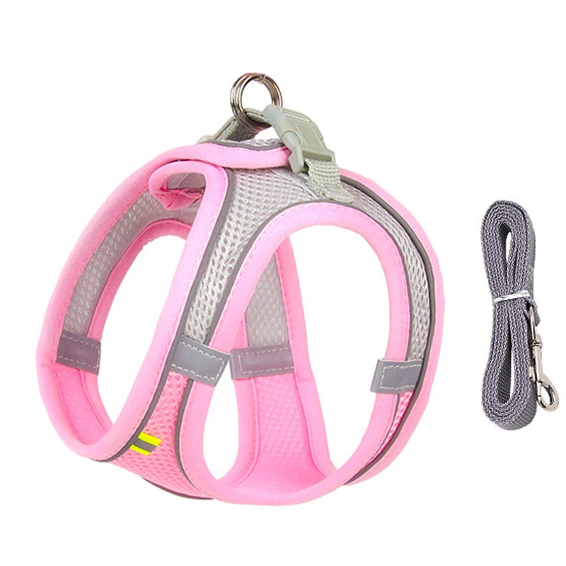 Comfy Control Harness & Leash Set: Perfect for Small Dogs & Puppies