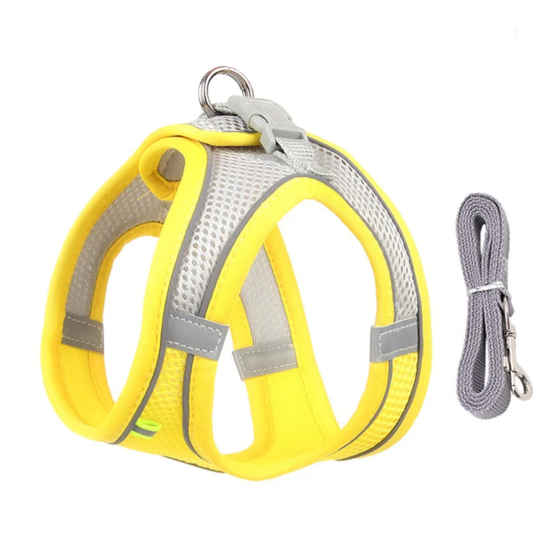 Comfy Control Harness & Leash Set: Perfect for Small Dogs & Puppies