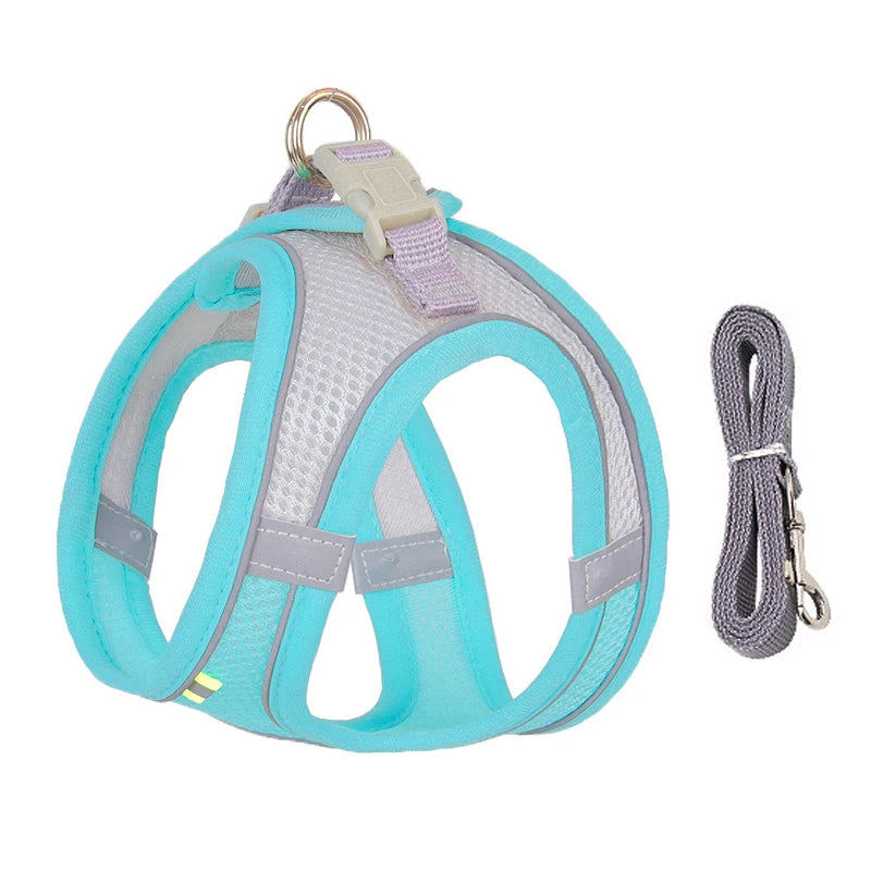 Comfy Control Harness & Leash Set: Perfect for Small Dogs & Puppies